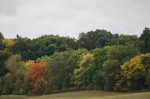 Herbstlandschaft in der Gemeinde Gerswalde